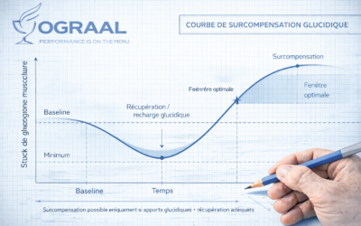 La sur-compensation glucidique